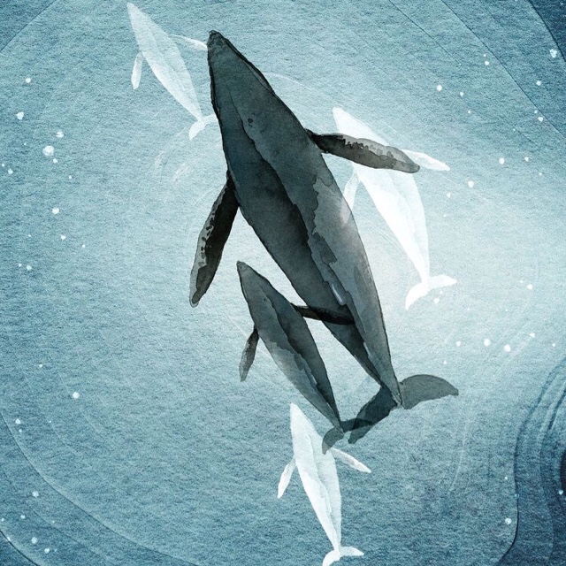 سرب من الحيتان